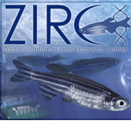 zirc